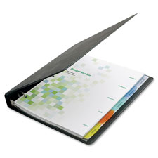 Acco/Wilson Jones View-tab Transparent Dividers