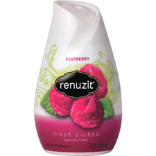 Dial Corp. Renuzit Aroma Raspberry Air Freshener