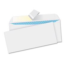 Bus. Source Regular Tint Peel/Seal Envelopes