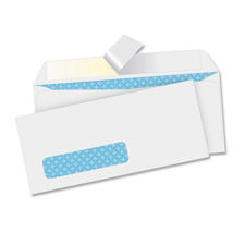 Bus. Source Security Tint Window Envelopes