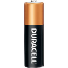 Duracell CopperTop Alkaline AA Batteries