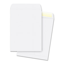 Bus. Source 28 lb. White Catalog Envelopes