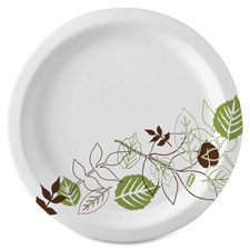 Dixie Foods Pathways Heavyweight Paper Plates