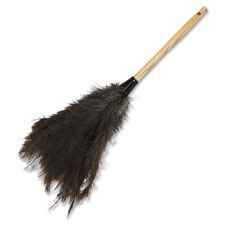 Genuine Joe Feather Duster