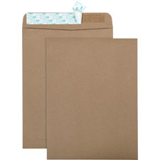 Quality Park Eco-friendly Redi-Strip Cat Envelopes