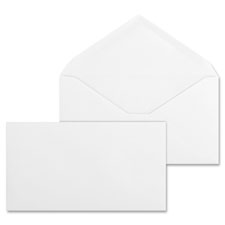 Bus. Source No. 6-3/4 V-Flap Business Envelopes