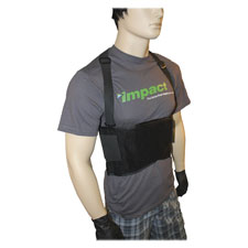 Impact Basic Back Support