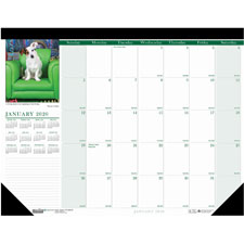 Doolittle Earthscapes Puppies Monthly Desk Pad