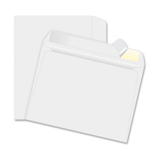 Quality Park Tyvek Plain Booklet Envelopes