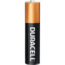 Duracell Coppertop AA Batteries